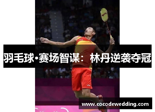 羽毛球·赛场智谋：林丹逆袭夺冠